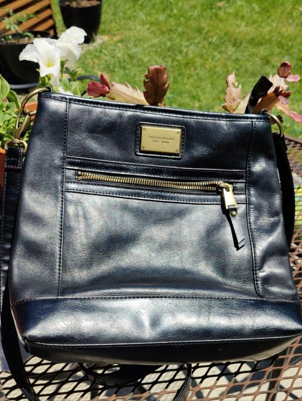 Tignanello Black Leather Crossbody with Gold Hardware